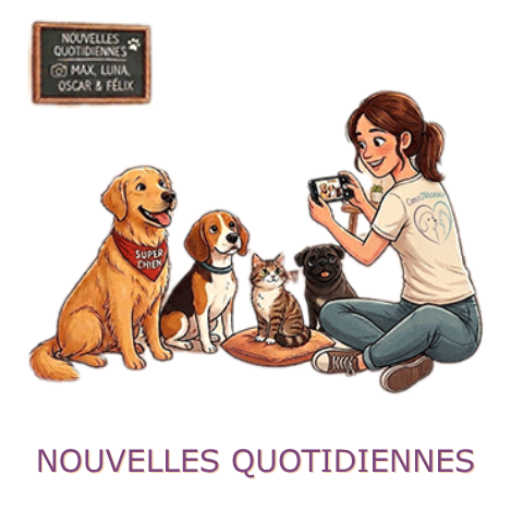 Nouvelles quotidiennes