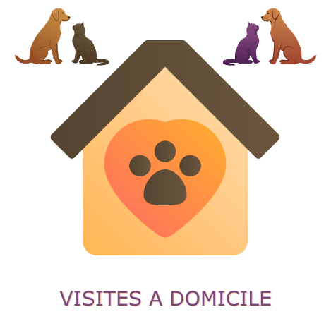 Visites à domicile