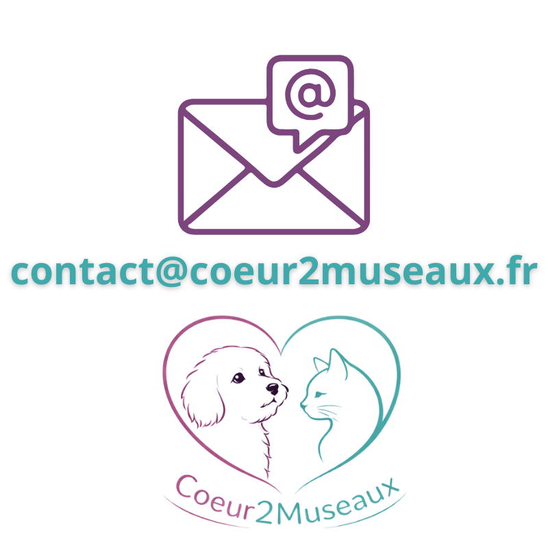 Email Coeur2museaux